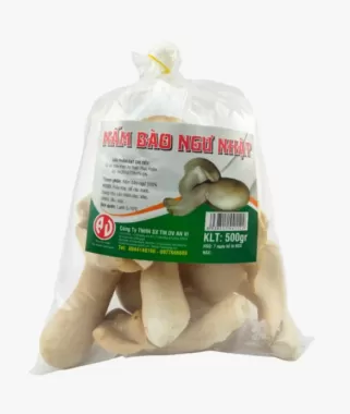 Nấm bào ngư Nhật