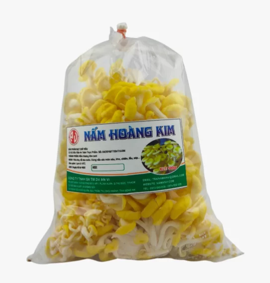Nấm hoàng kim